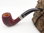 Rattray's pipe Lobster 63