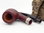 Rattray's pipe Lobster 63
