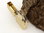 Zippo Lighter Brass Brushed 60001165