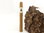Ashton – 10 Cigar Assortment -Sampler