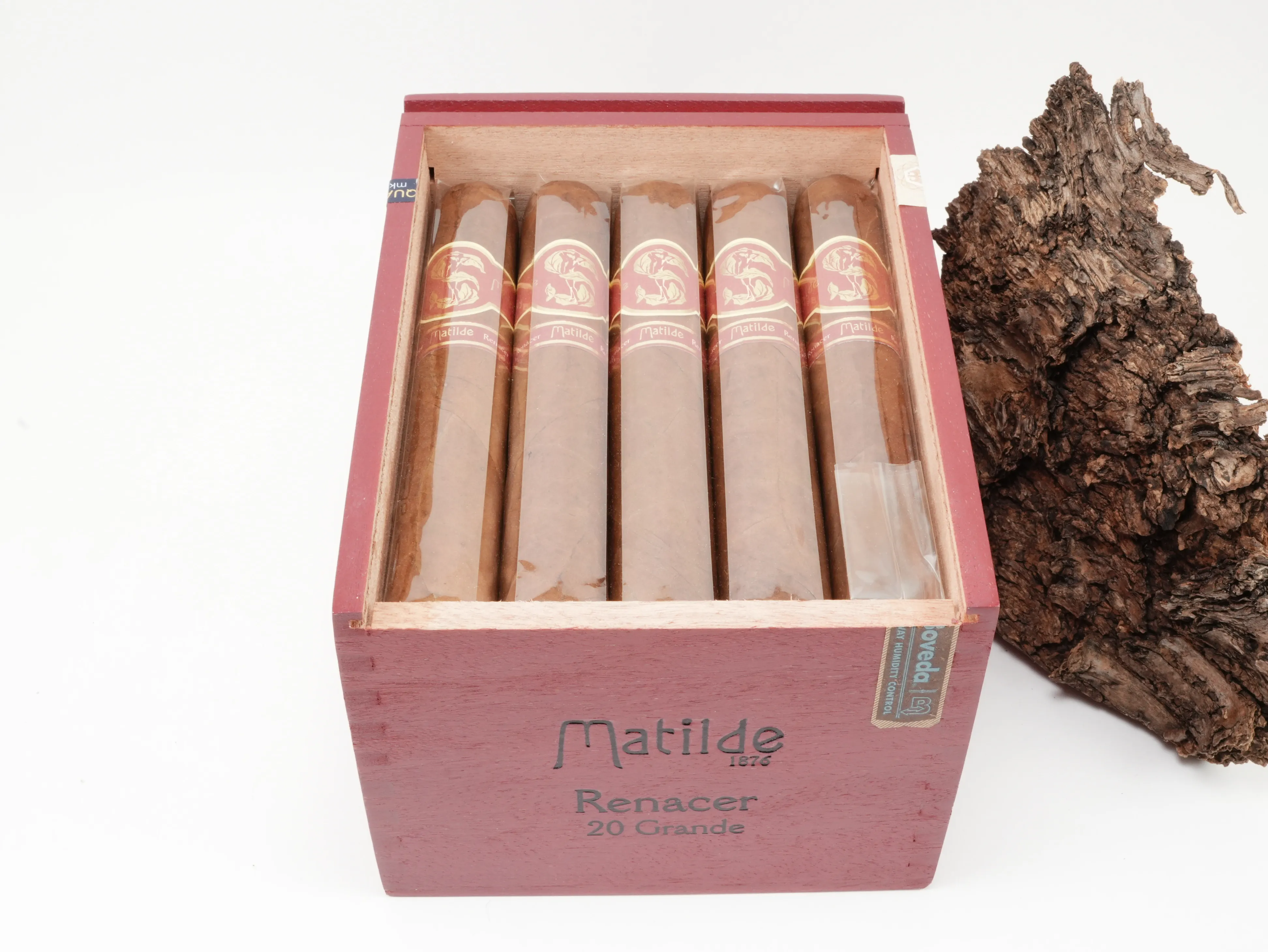 Matilde Renacer Grande