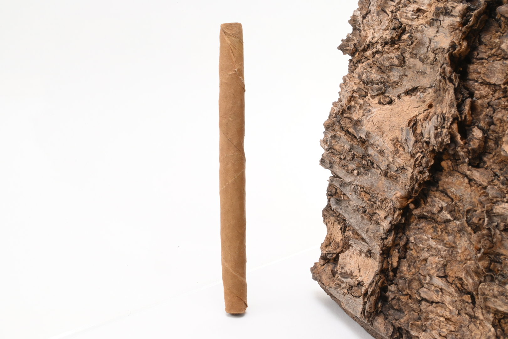 Carlos_Andre_Black_4_1