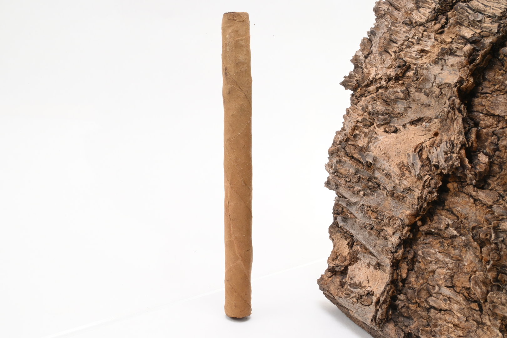 Clubmaster_1817_200_4_1