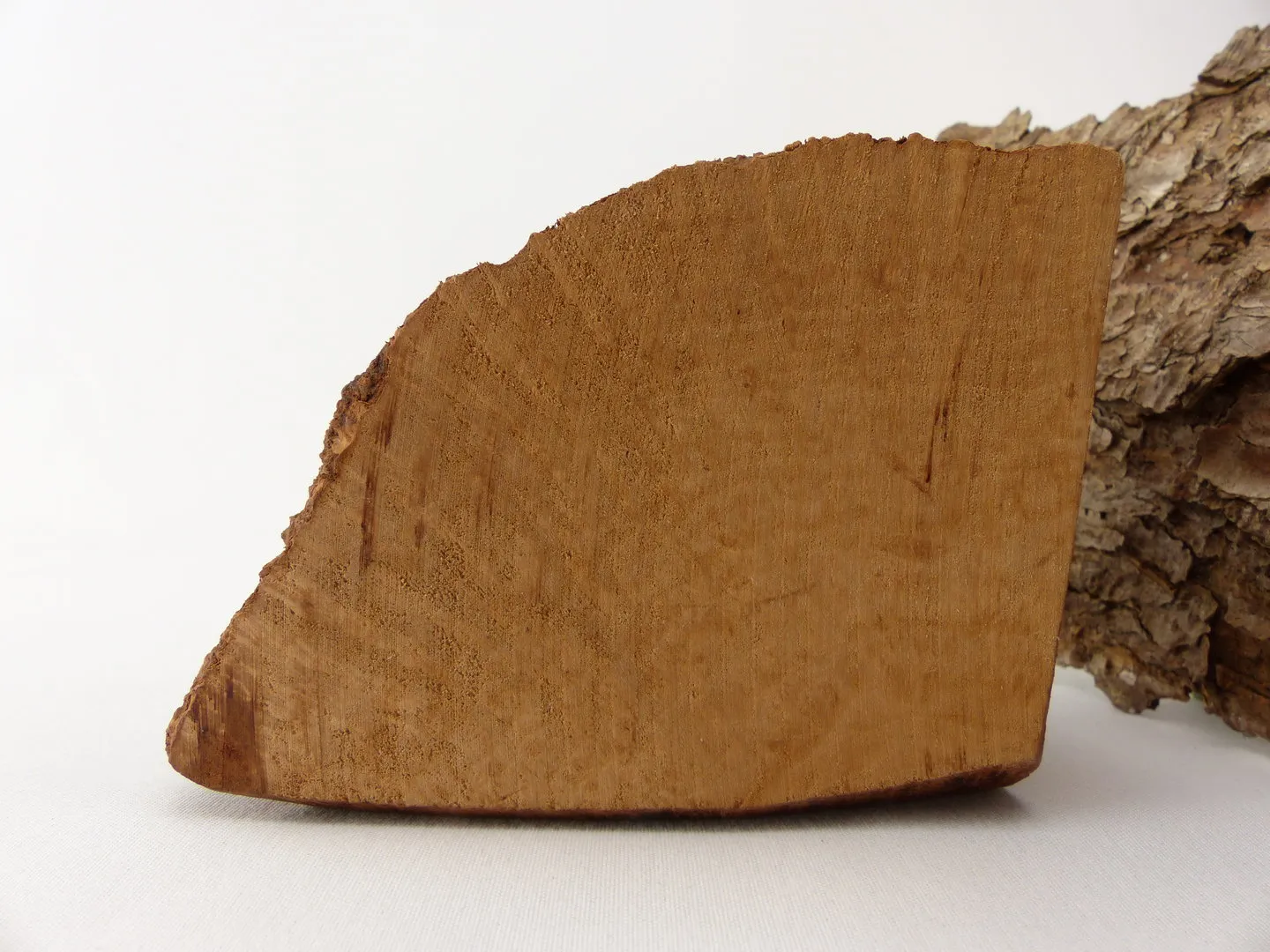 Bruyere Pfeifenholz Ebauchon Plateaux – Produktbild 2