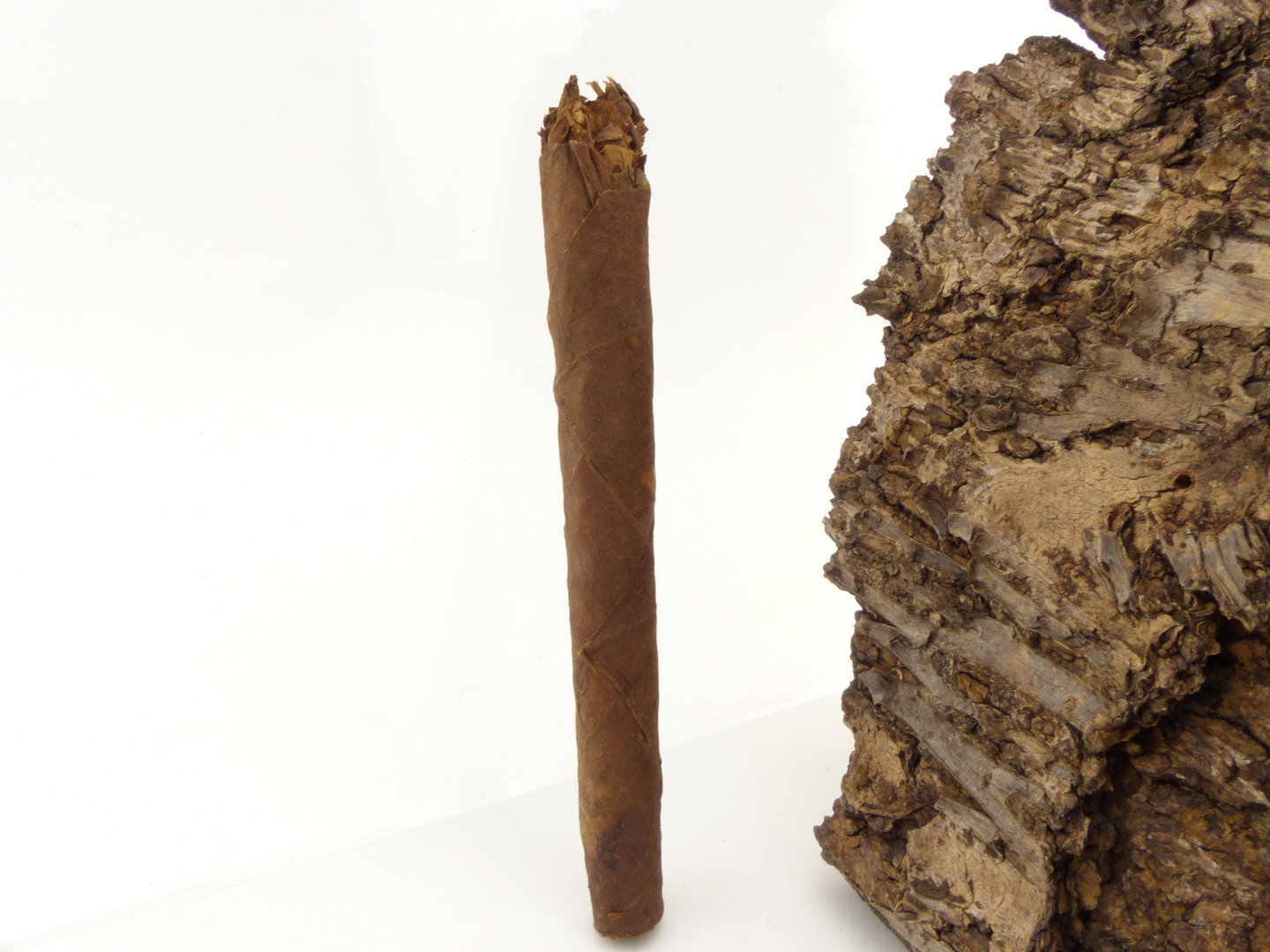 backwoods_authentic_v2_3