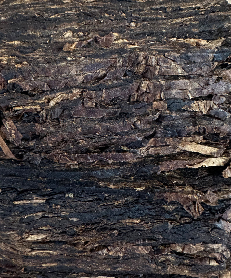 GL_Pease_Horizon_Tabakbild