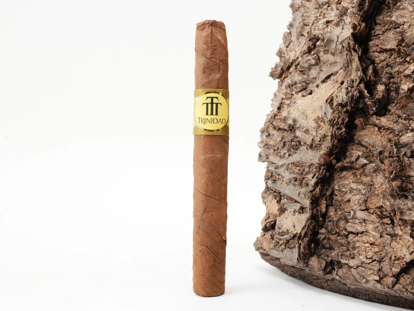 Trinidad_Short_4_1