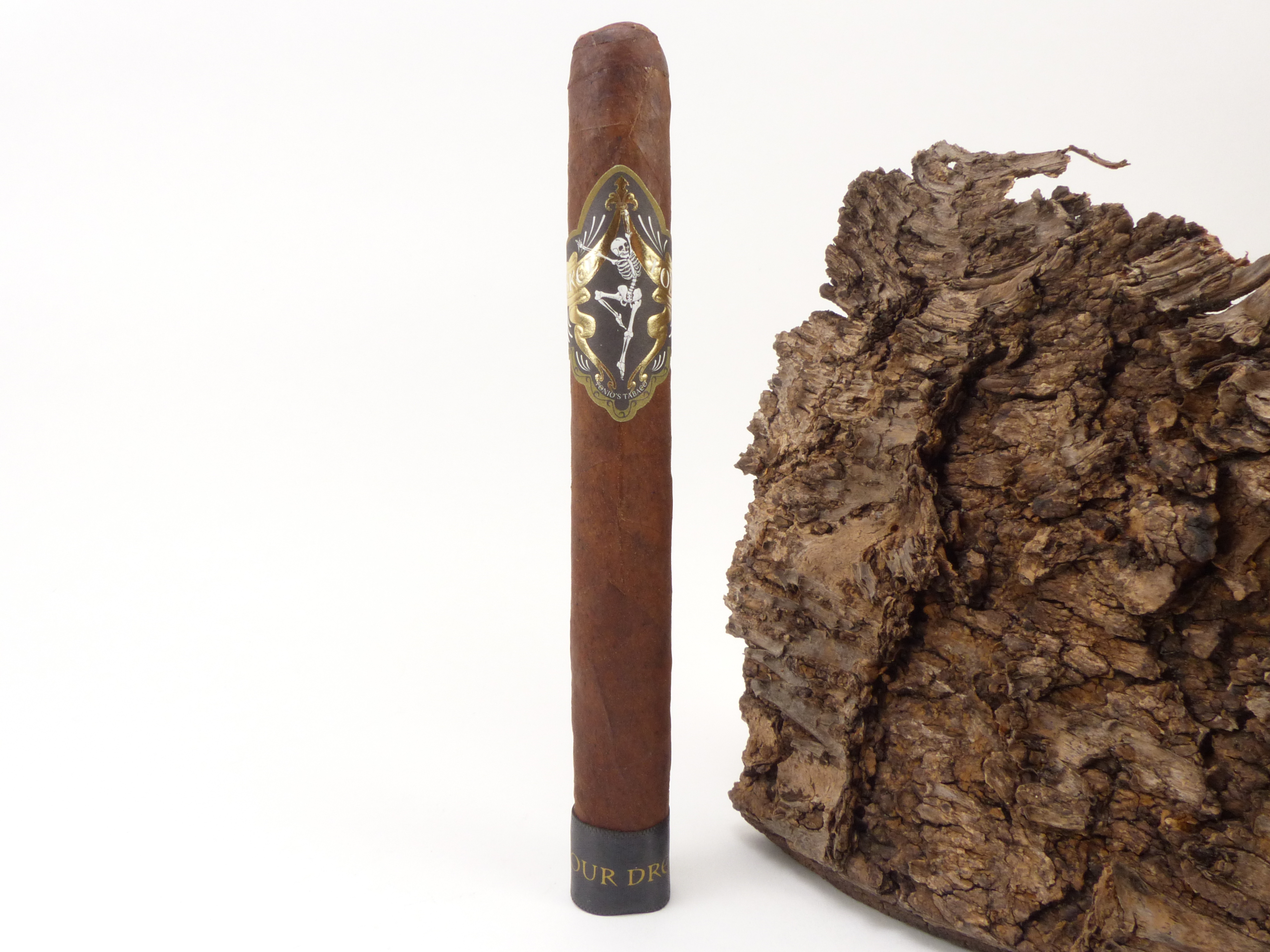 Skel Ton Live Your Dreams Corona 