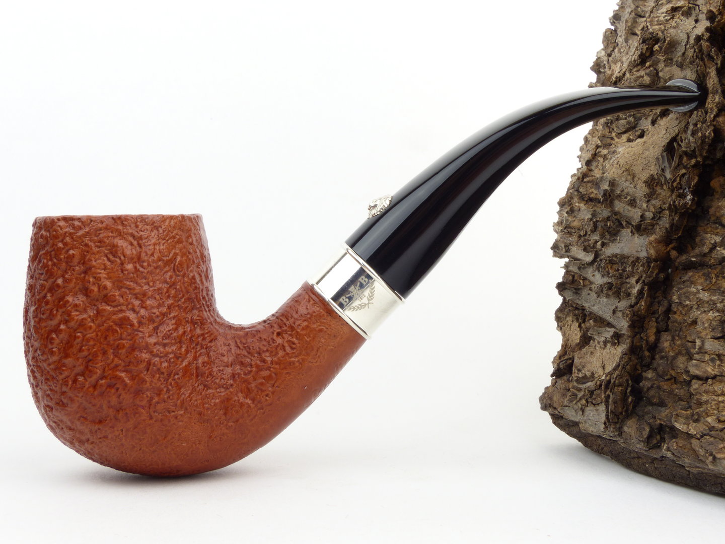 barling_benjamin_fossil_1822_2