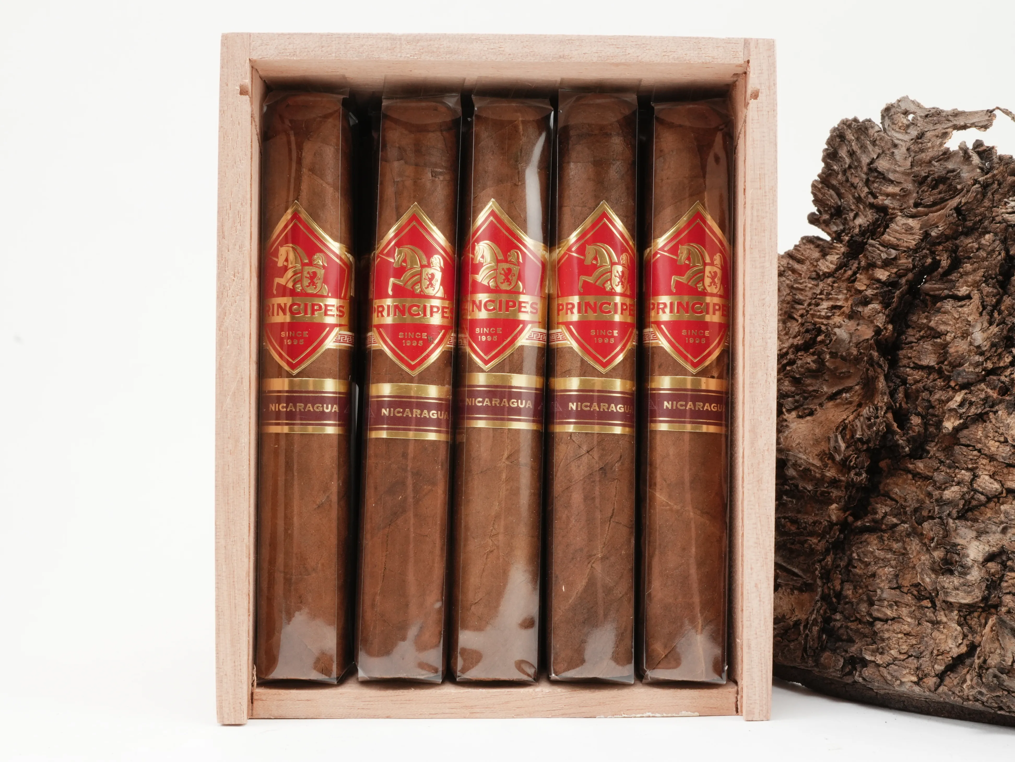 Principes Nicaragua Robusto – Produktbild 3