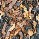 savinelli_armonia_50g_3