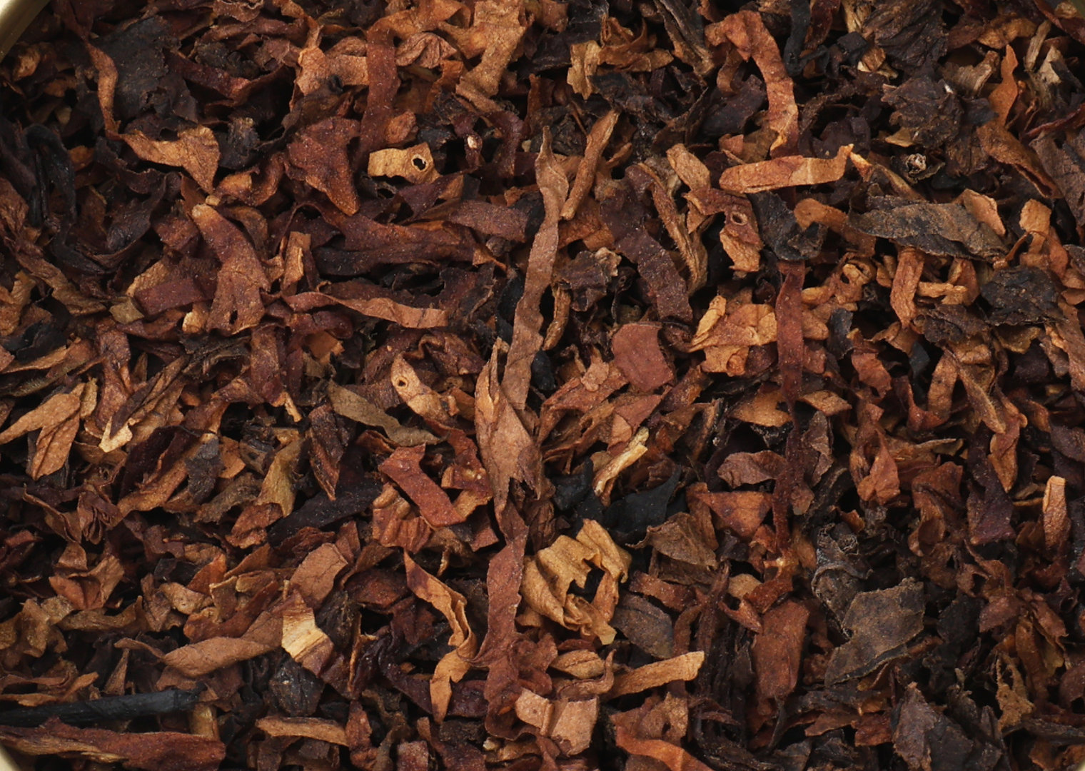 Cornell_Diehl_bayou_night_Tabakbild