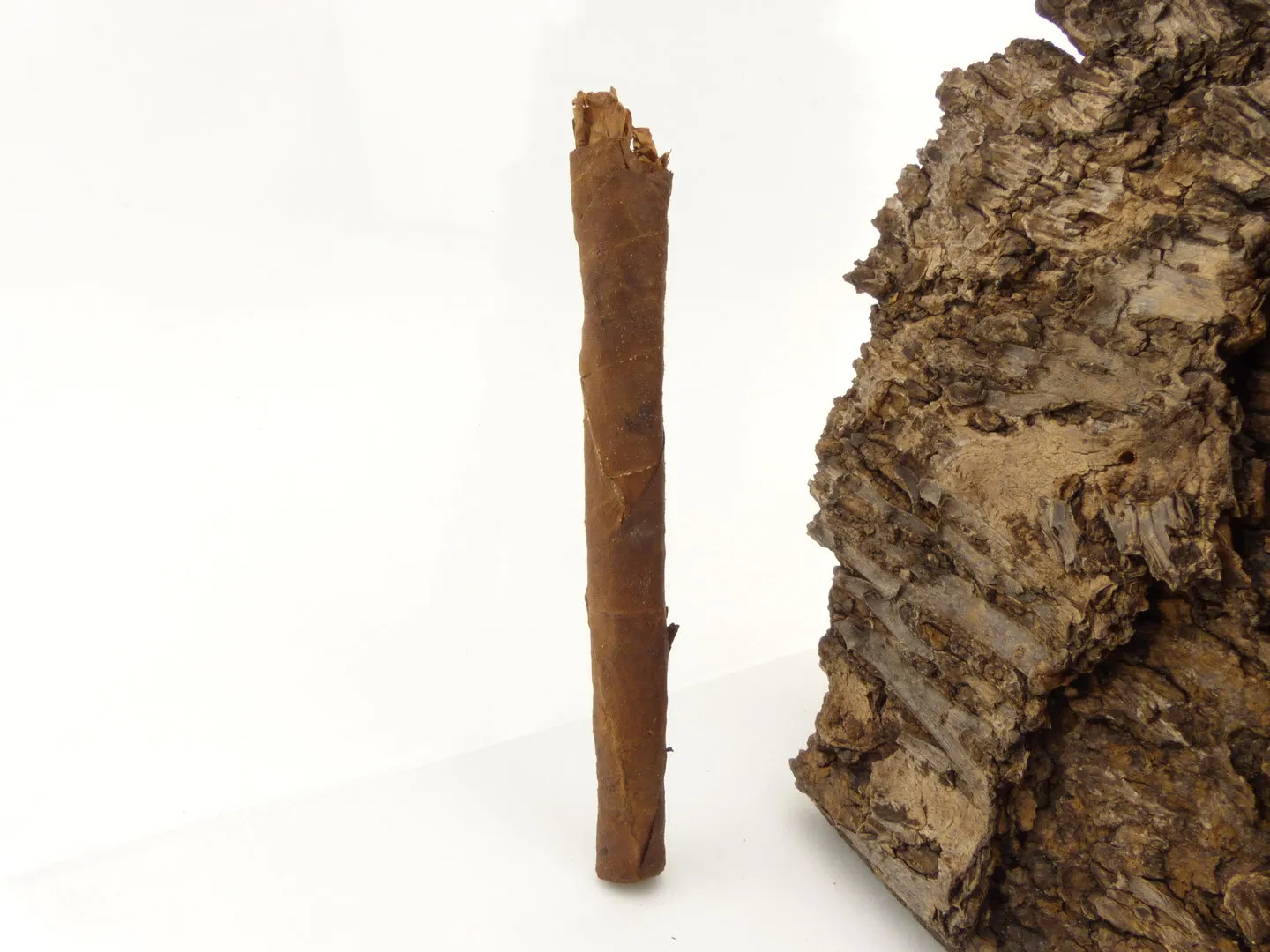 backwoods_caribe_3