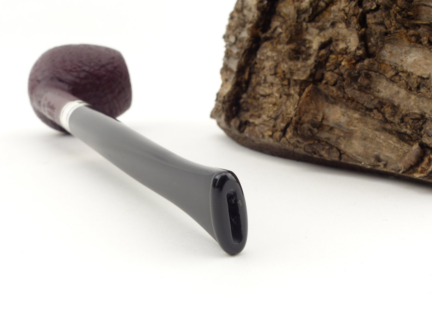 barling_edward_fossil_1828_4