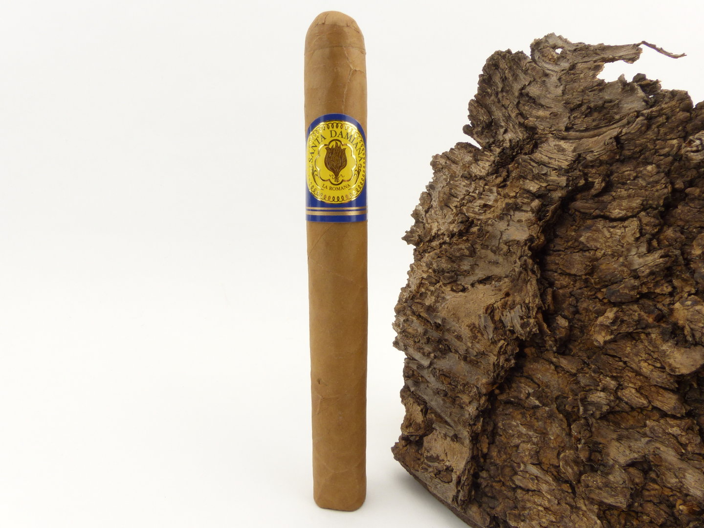 Santa Damiana Corona