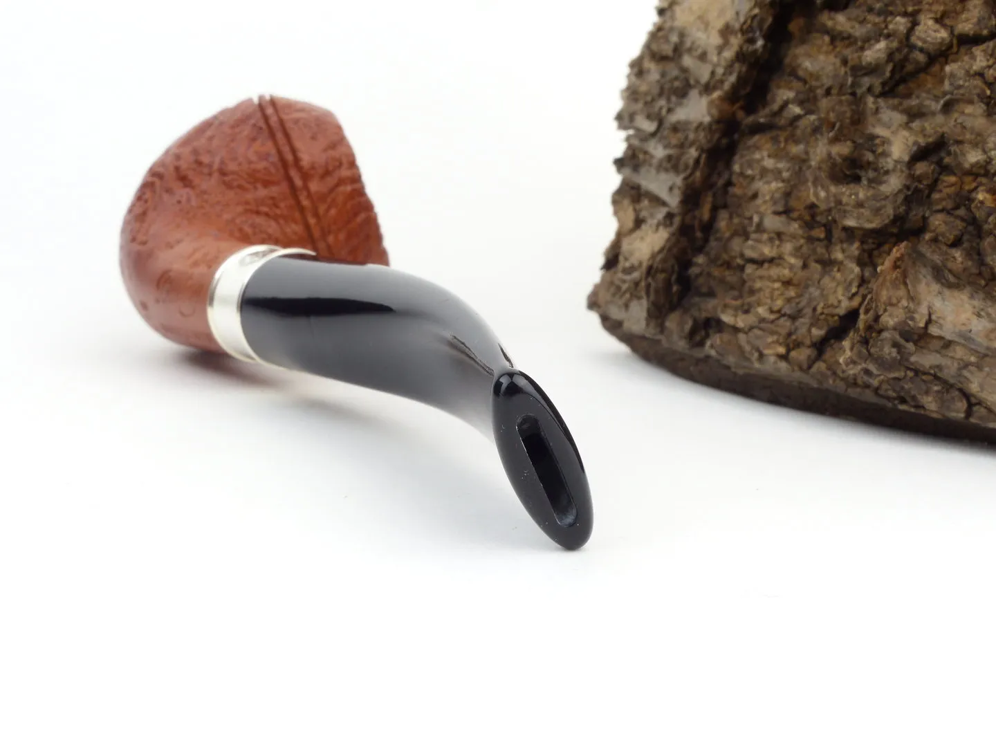 barling_benjamin_fossil_1819_4