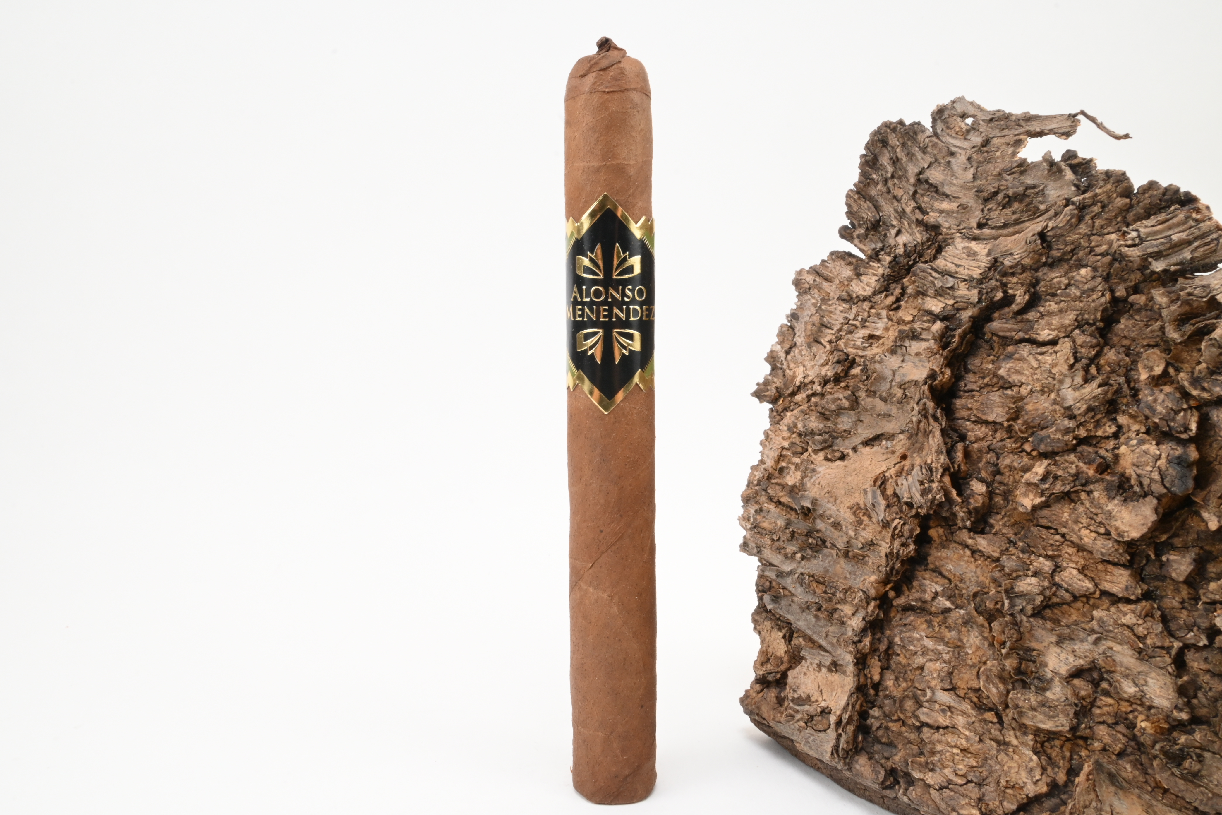 Alonso Menendez No. 20