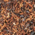 savinelli_the_balkans_50g_3