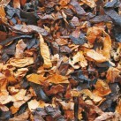 dunhill_london_mixture_50g_3