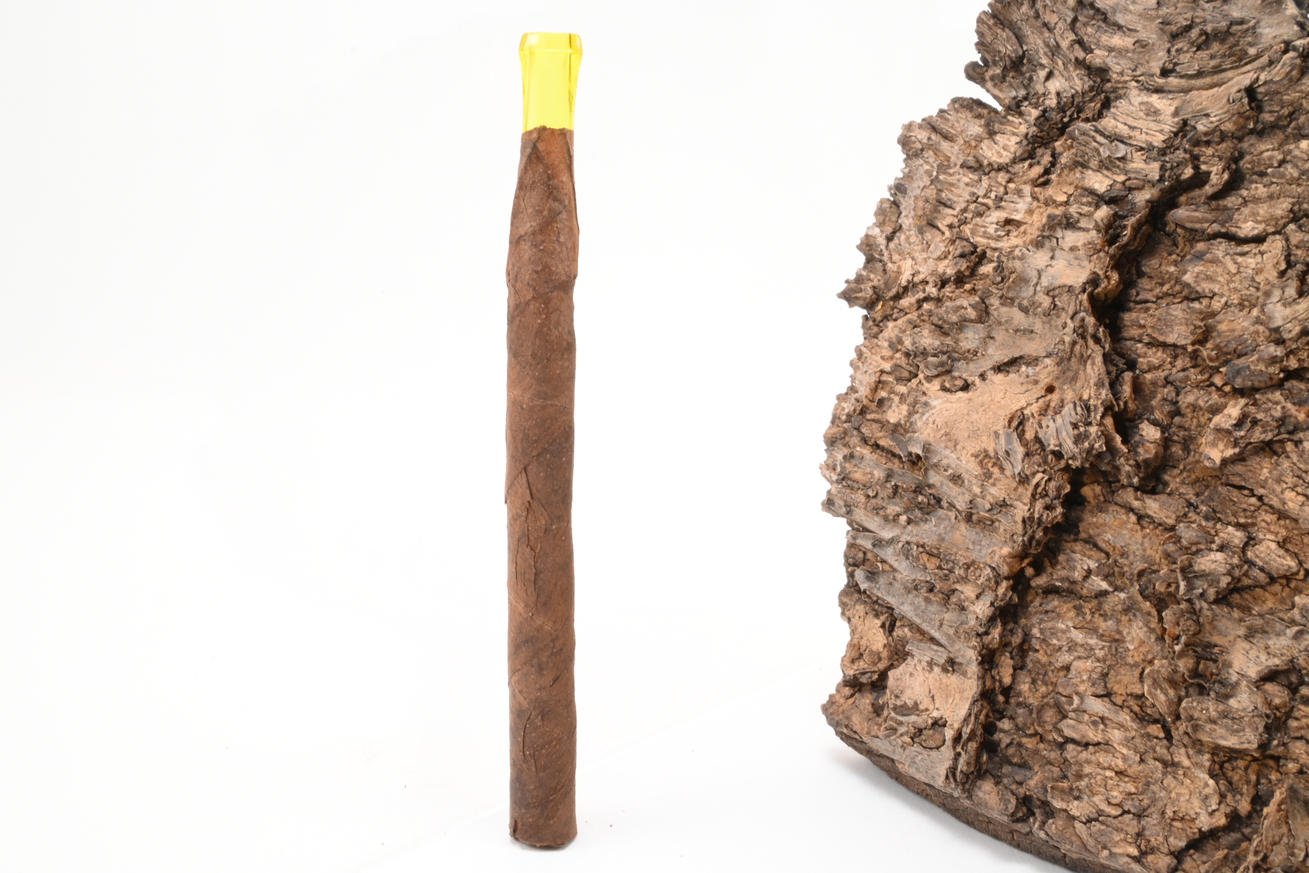 Villiger Kiel Brasil Junior