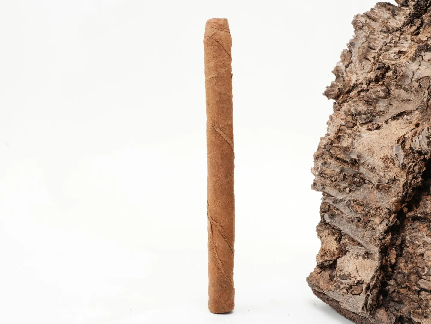 partagas_club_4_1