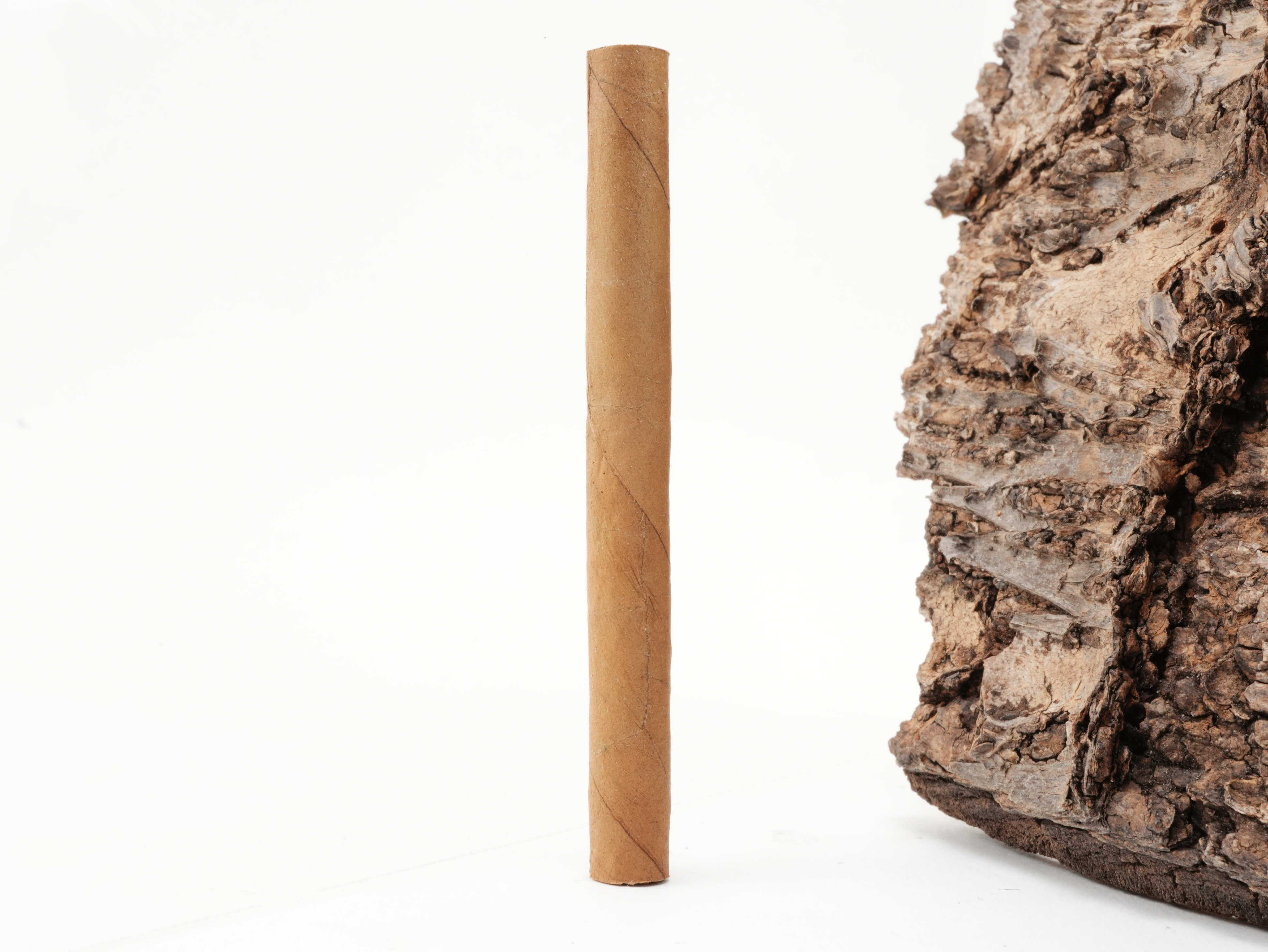 Panter Swirl Red Filter