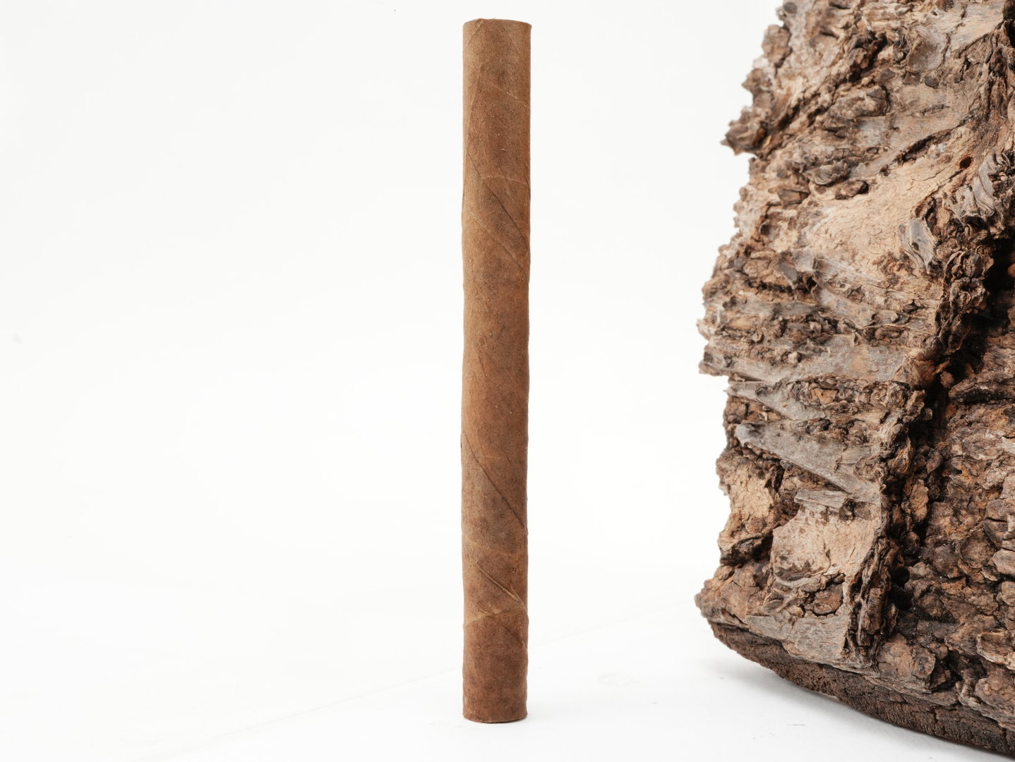 Panter_Desert_Filter_4_1