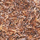 Rattray's Pipe Tobacco Sir William