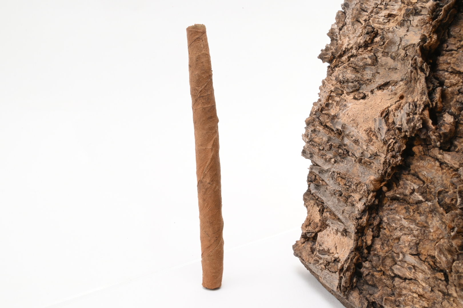 Carlos_Andre_Red_3_1