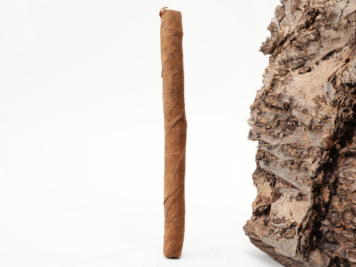 Cohiba_White_Short_4