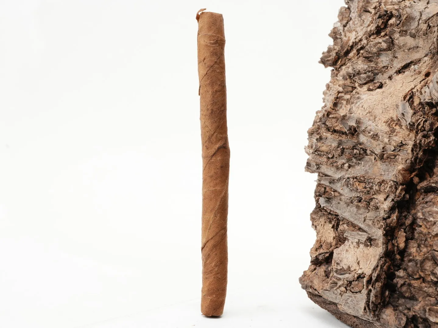 Cohiba_White_Short_4