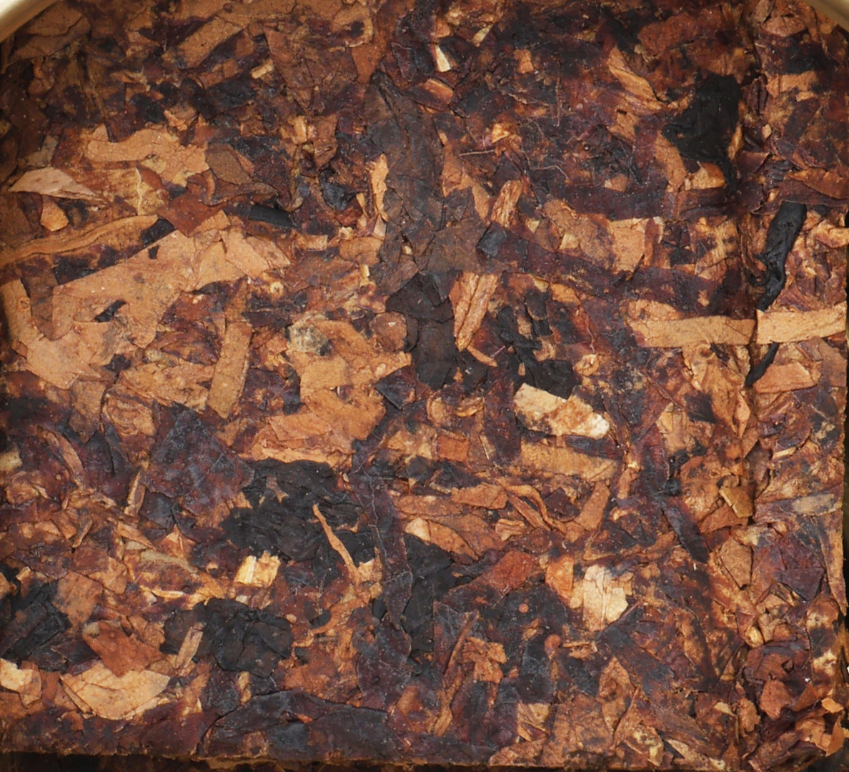 Cornell_Diehl_Briar_Fox_Tabakbild