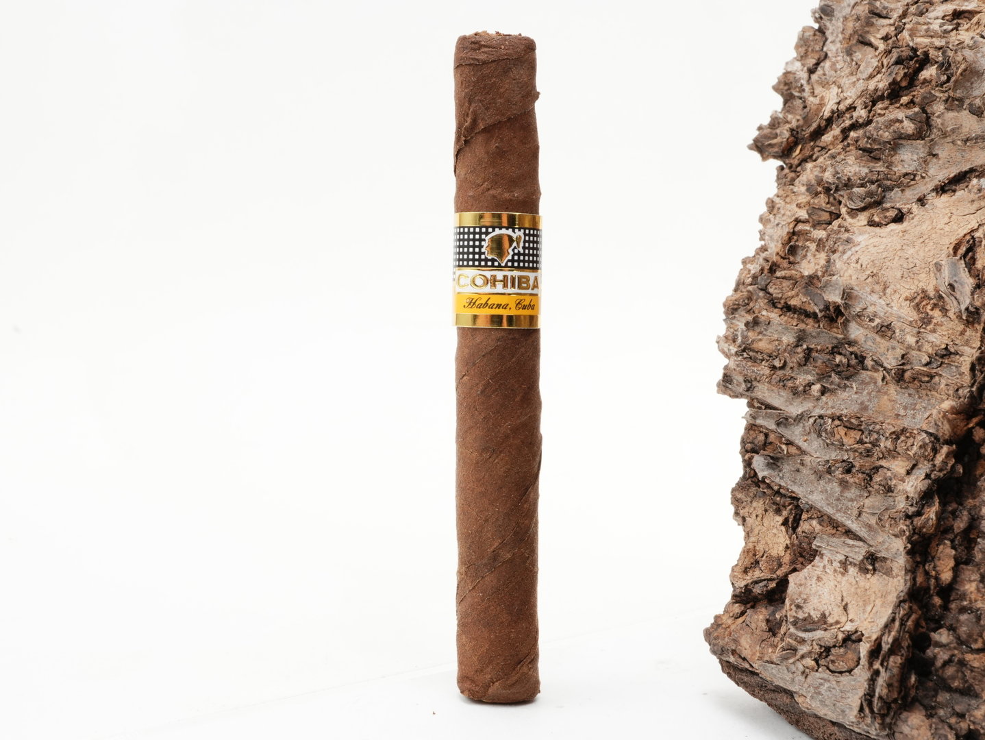 Cohiba_Short_4_1