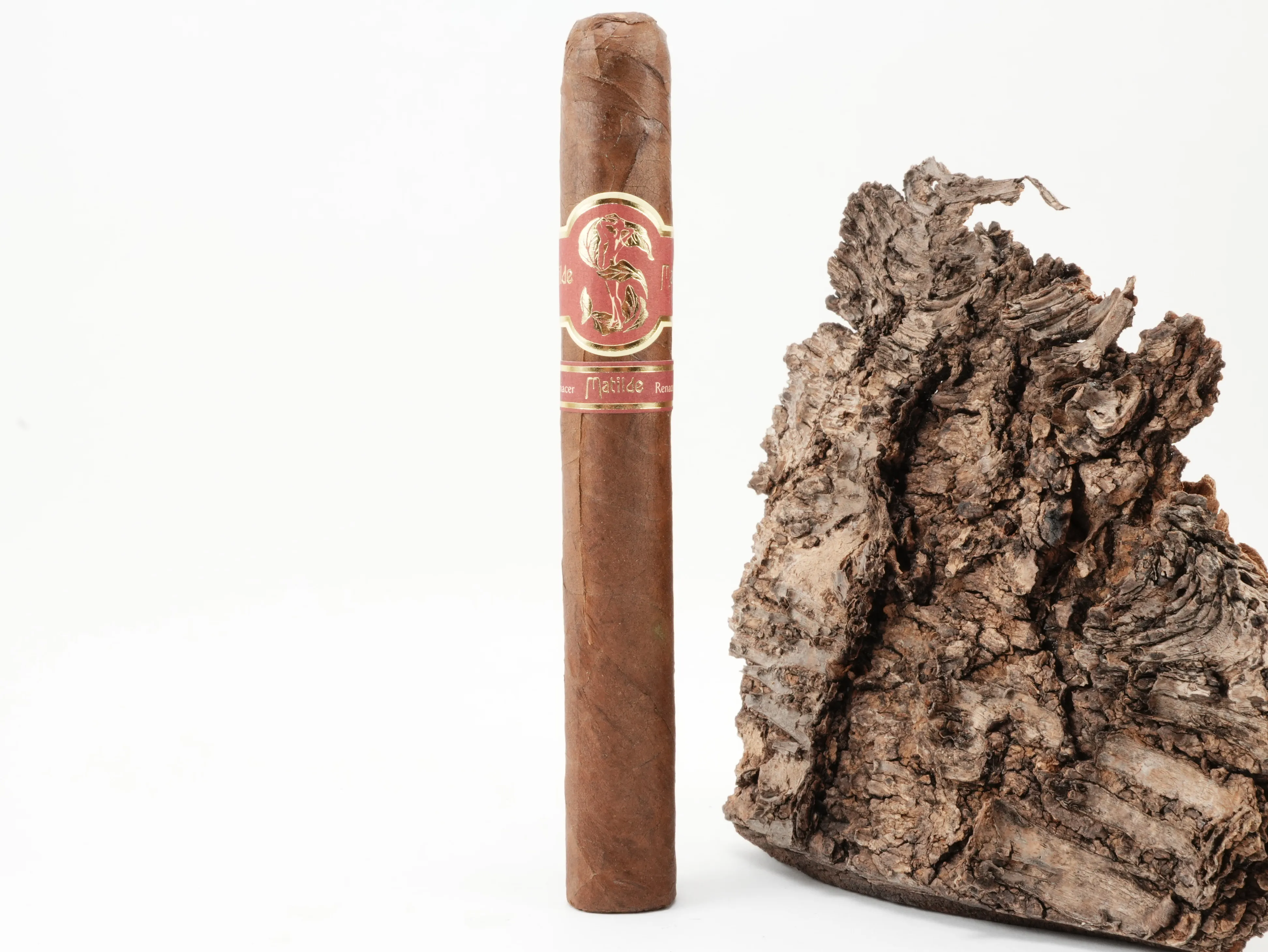 Matilde Renacer Toro Bravo