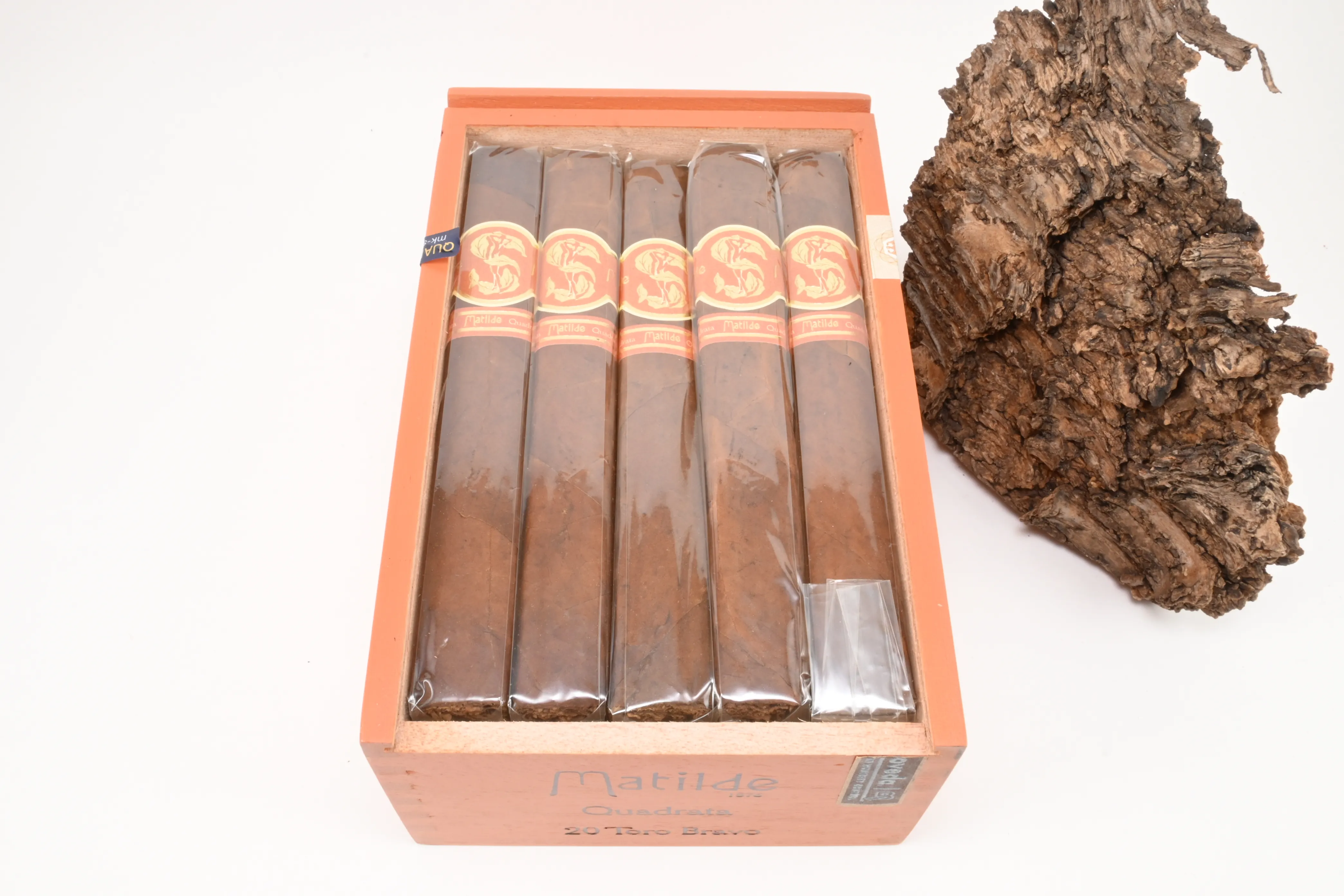 Matilde Quadrata Toro Bravo