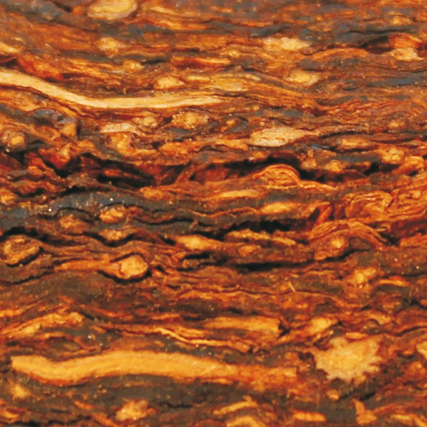 Robert_McConnell_Scottish_Flake_Tabakbild