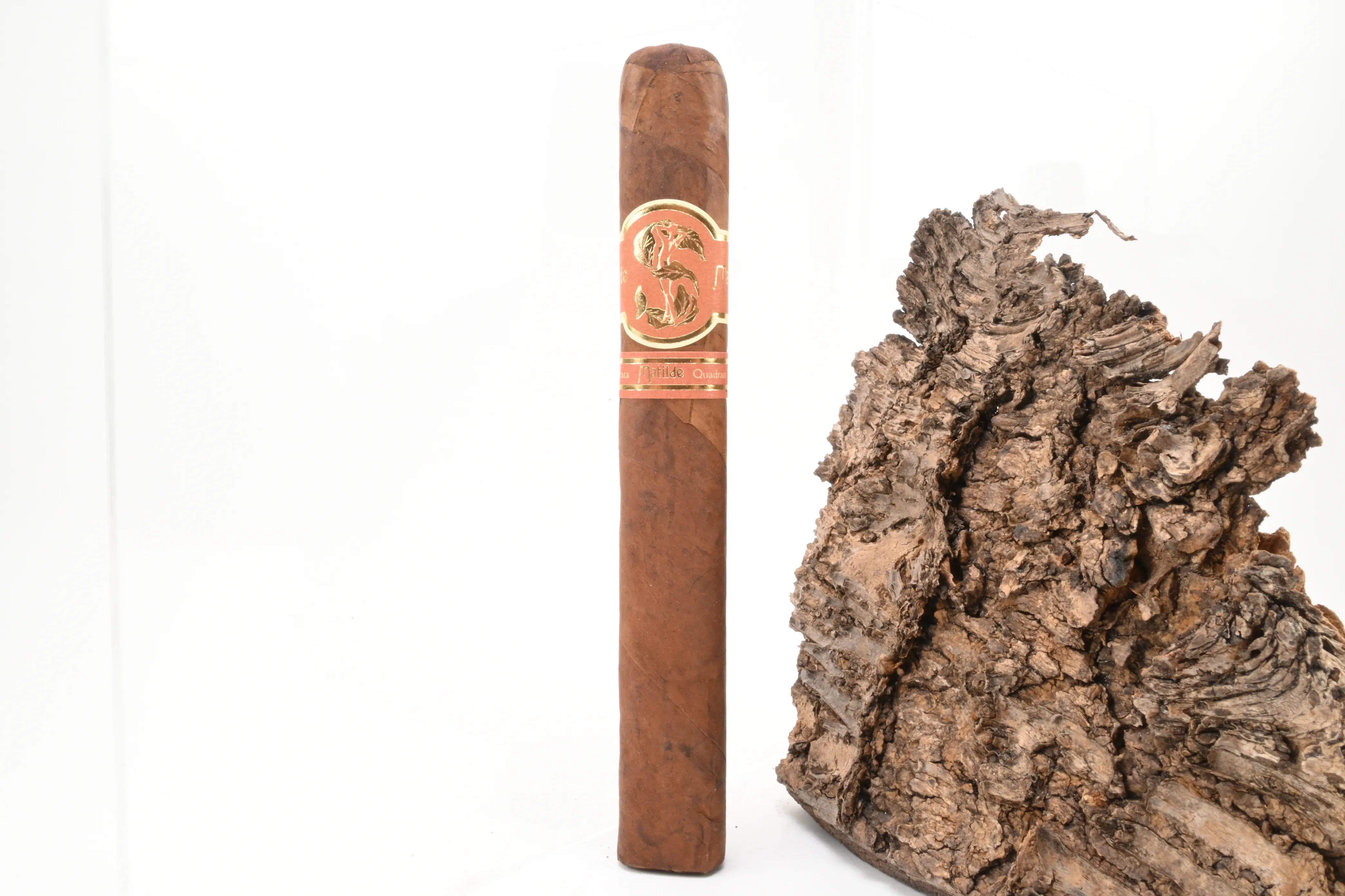Matilde Quadrata Toro Bravo