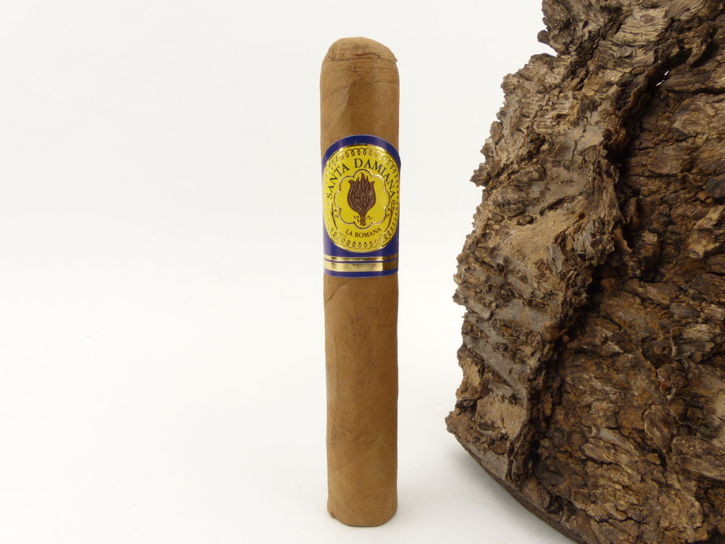 Santa Damiana Perlas