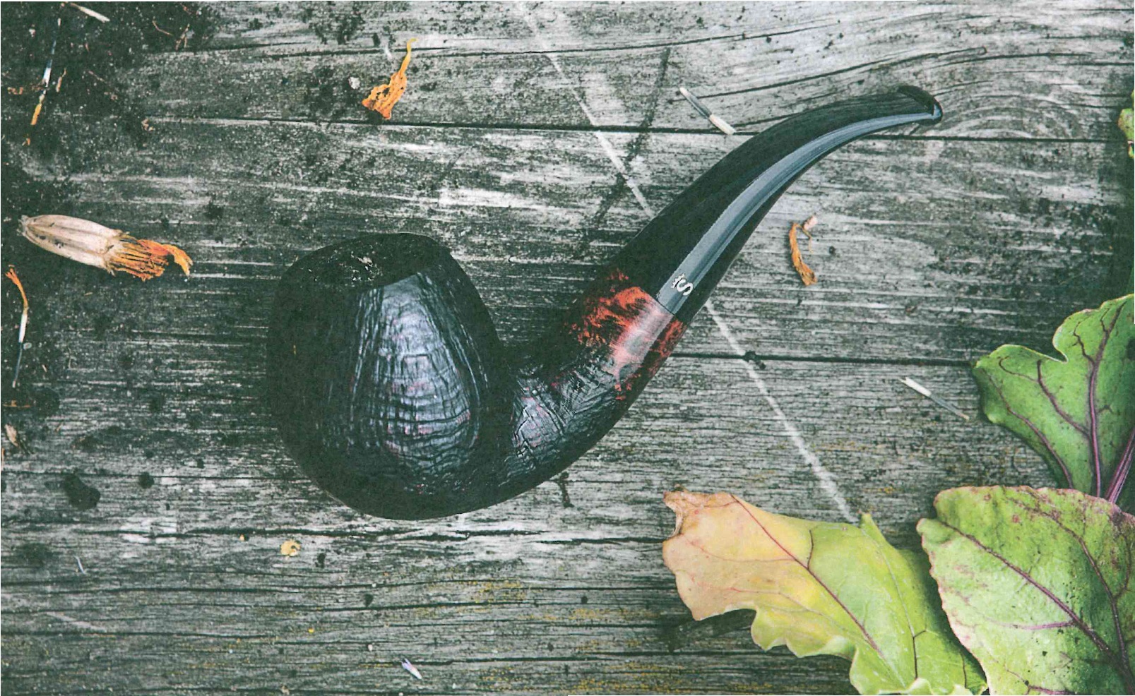 Mood Bild einer Stanwell Vario auf Holz mit Blättern