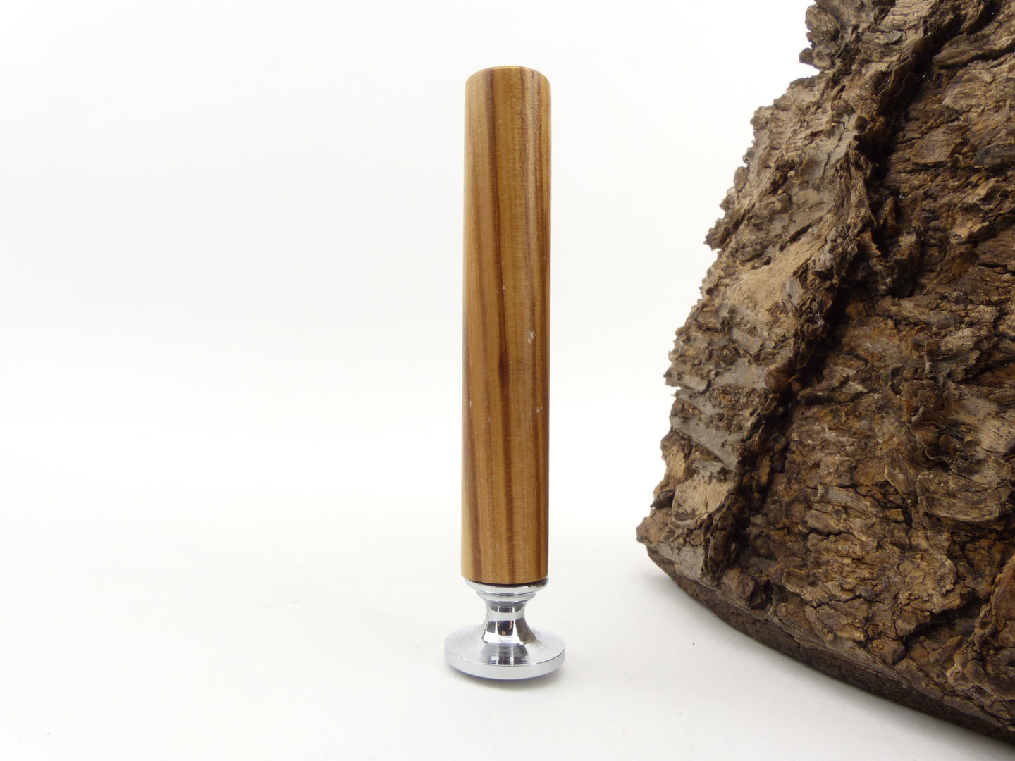 stopfer_101_beech_nature_1