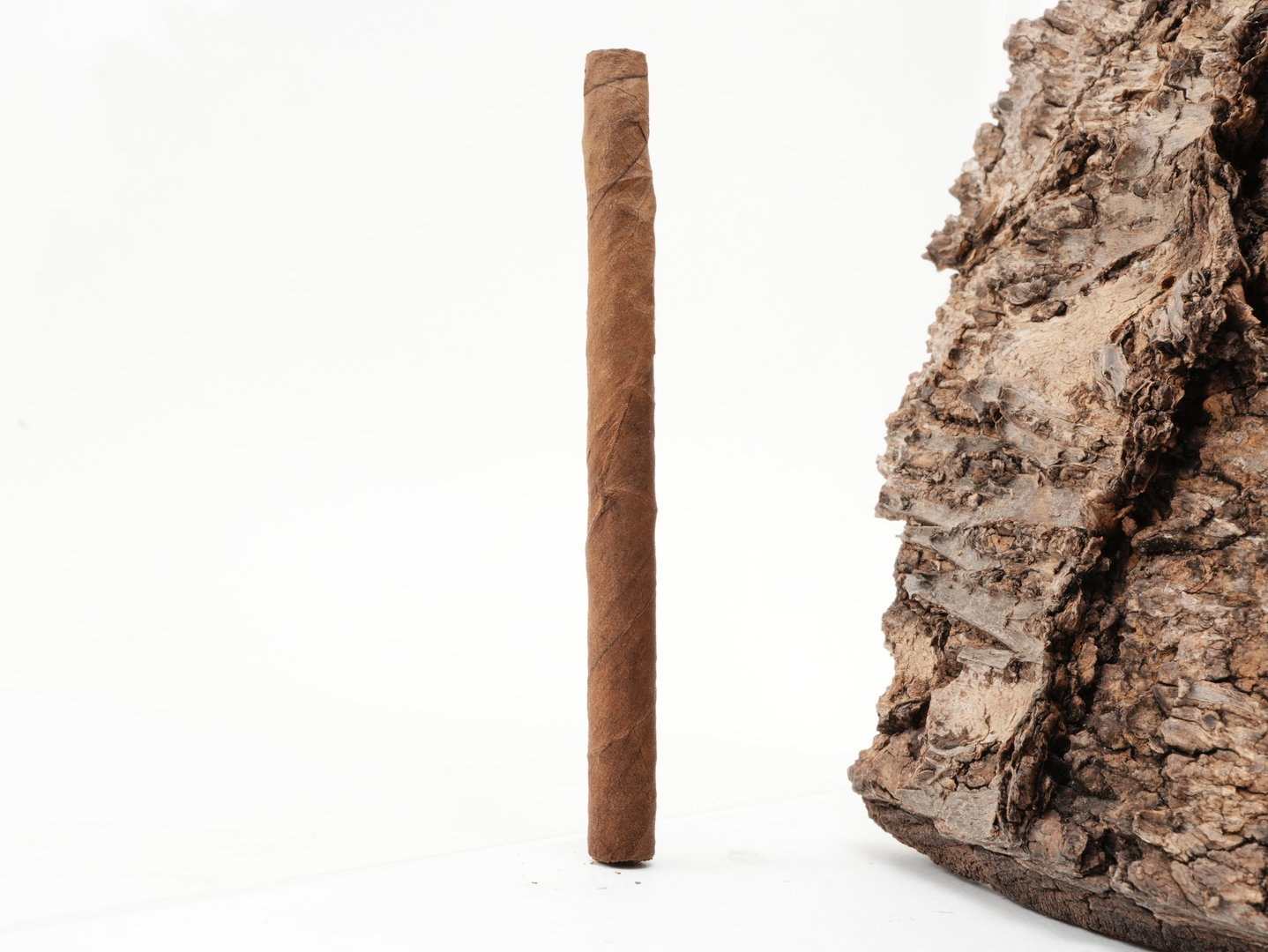 Nobel_Petit_Sumatra_4