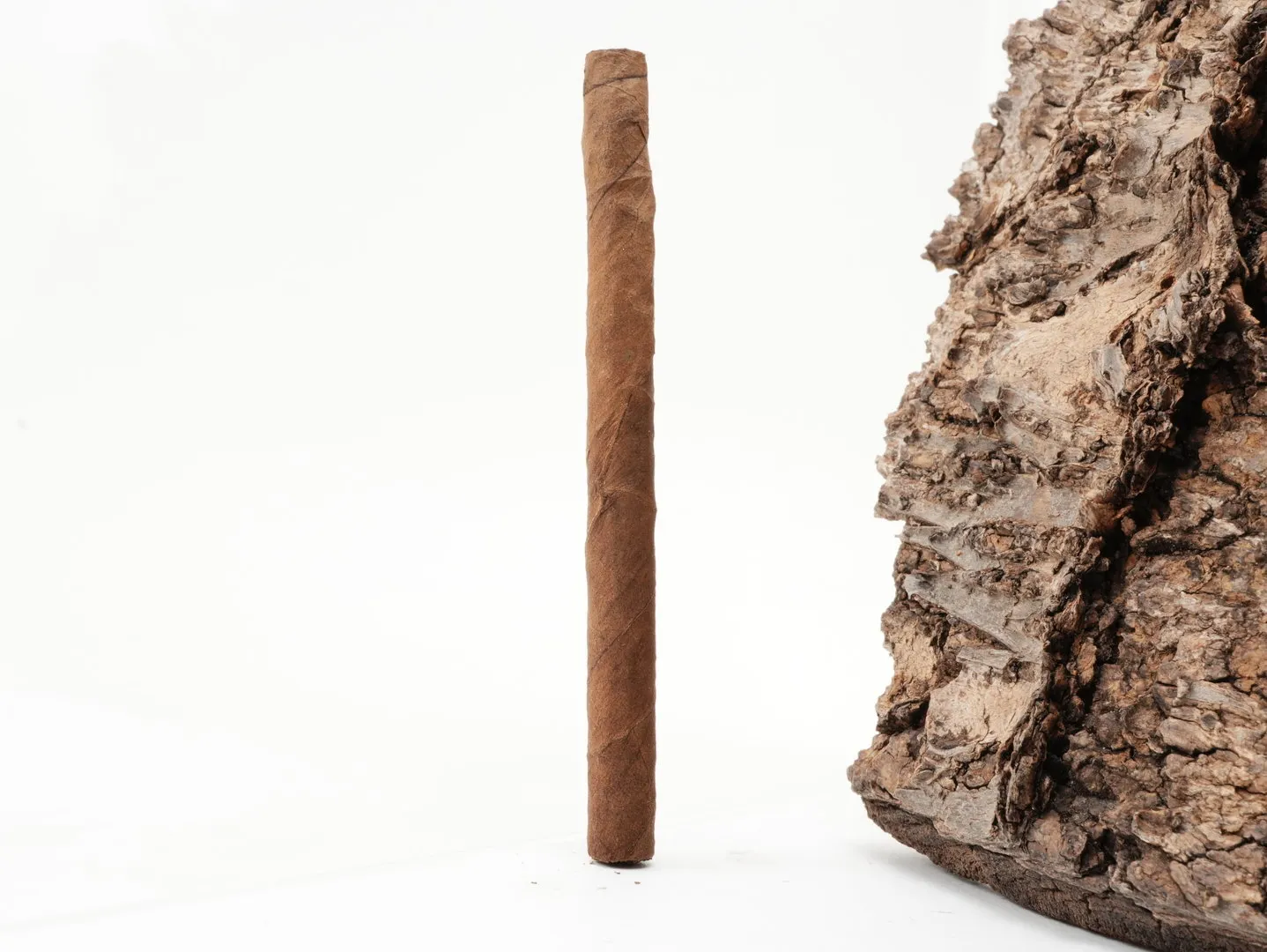 Nobel_Petit_Sumatra_4