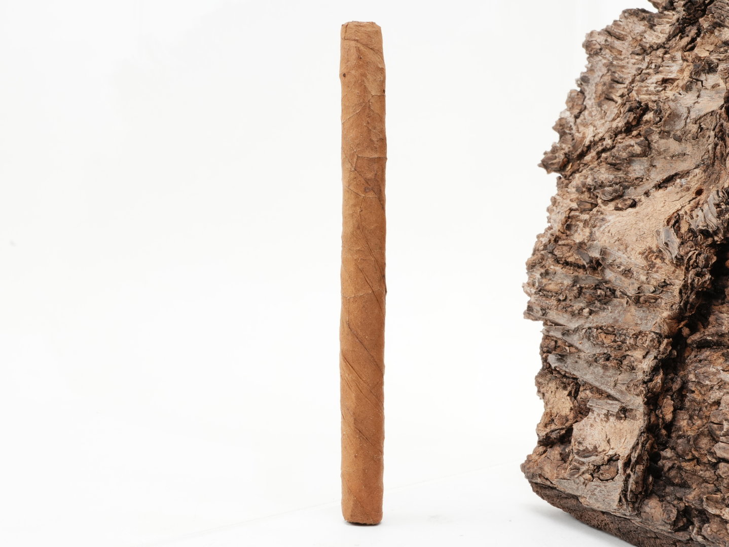 Romeo_y_Julieta_Club_3_1