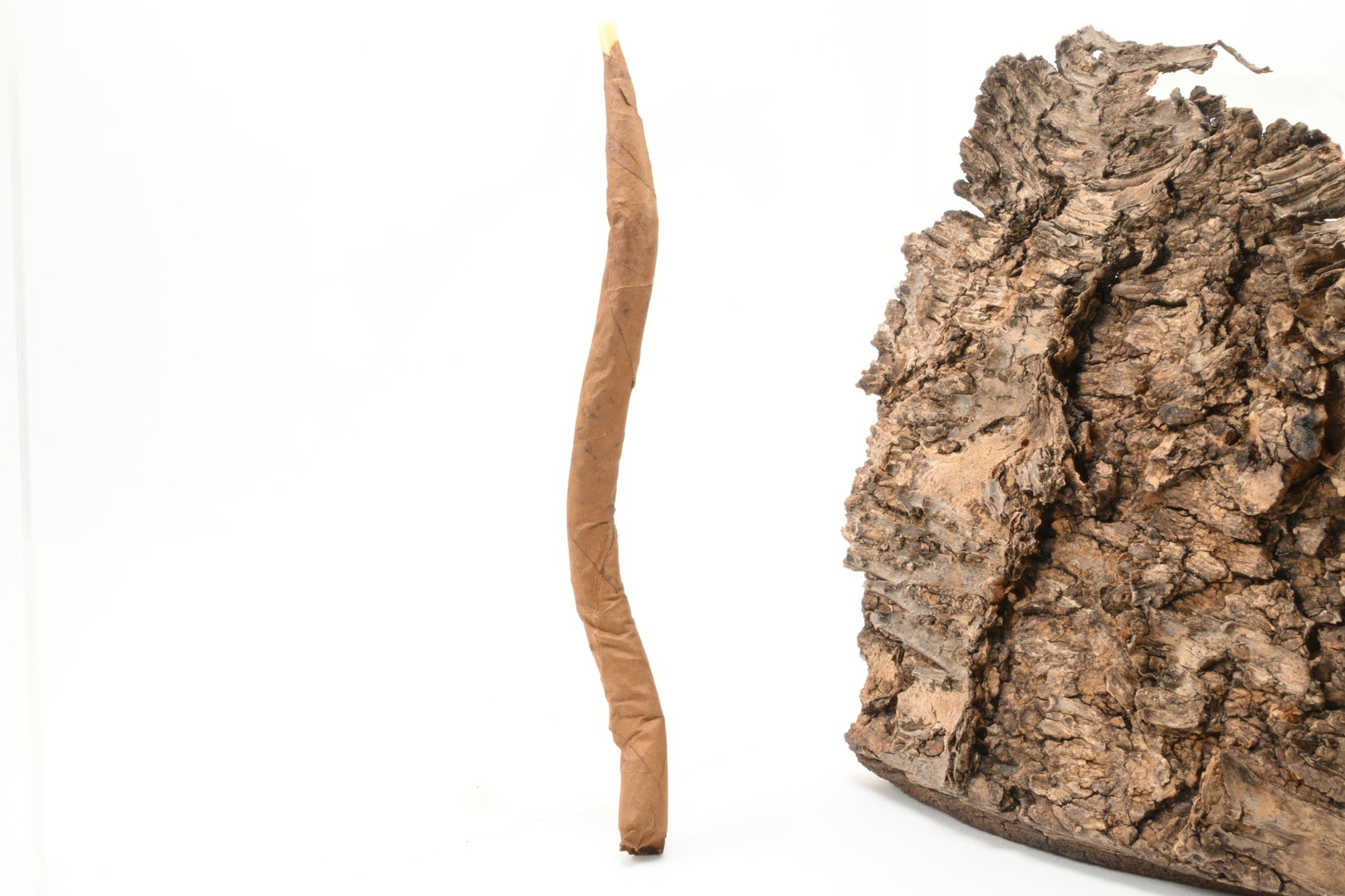 Villiger_Original_Krumme_Junior_Einzel_1_1