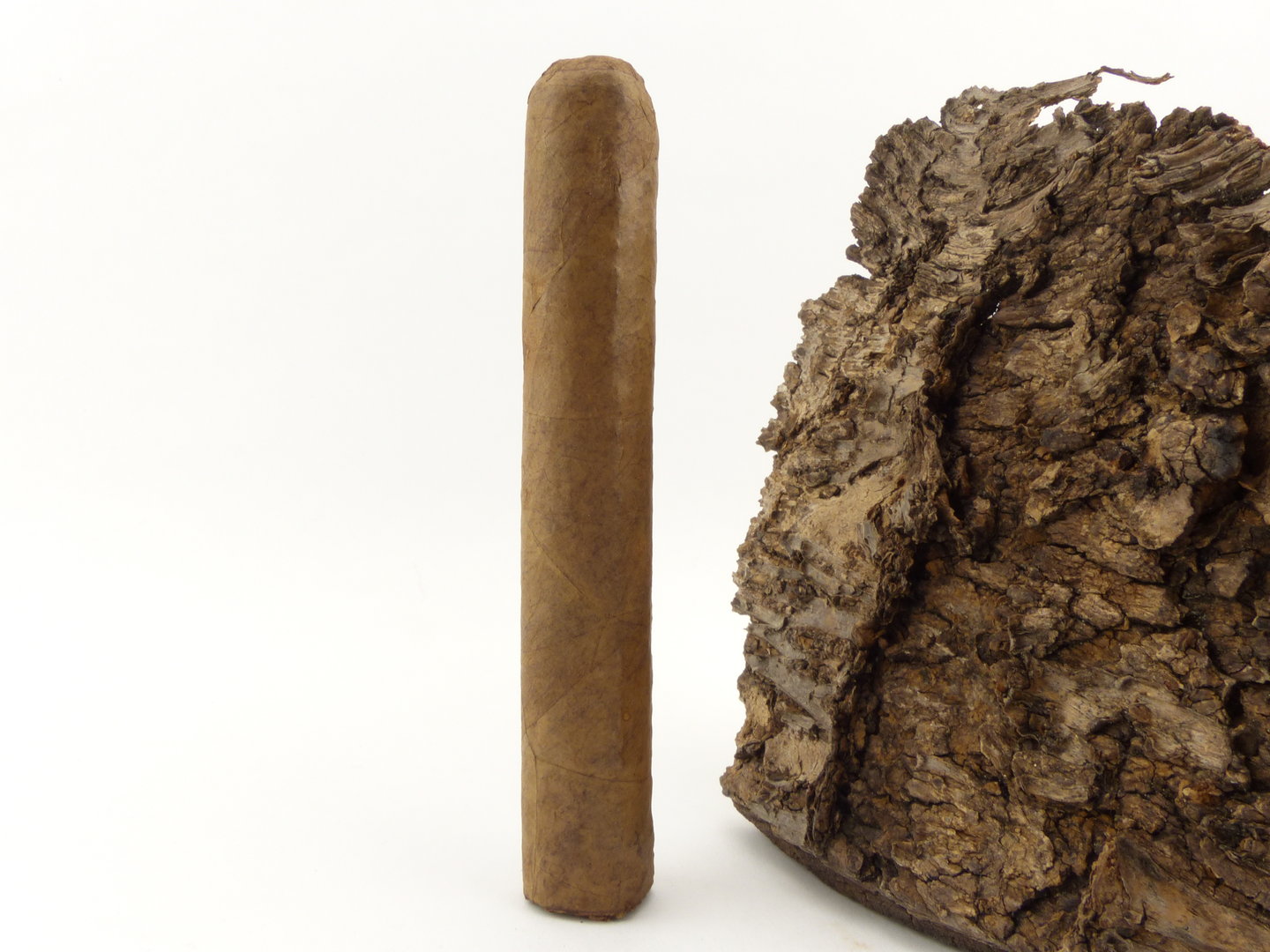 Flor del Sol Robusto