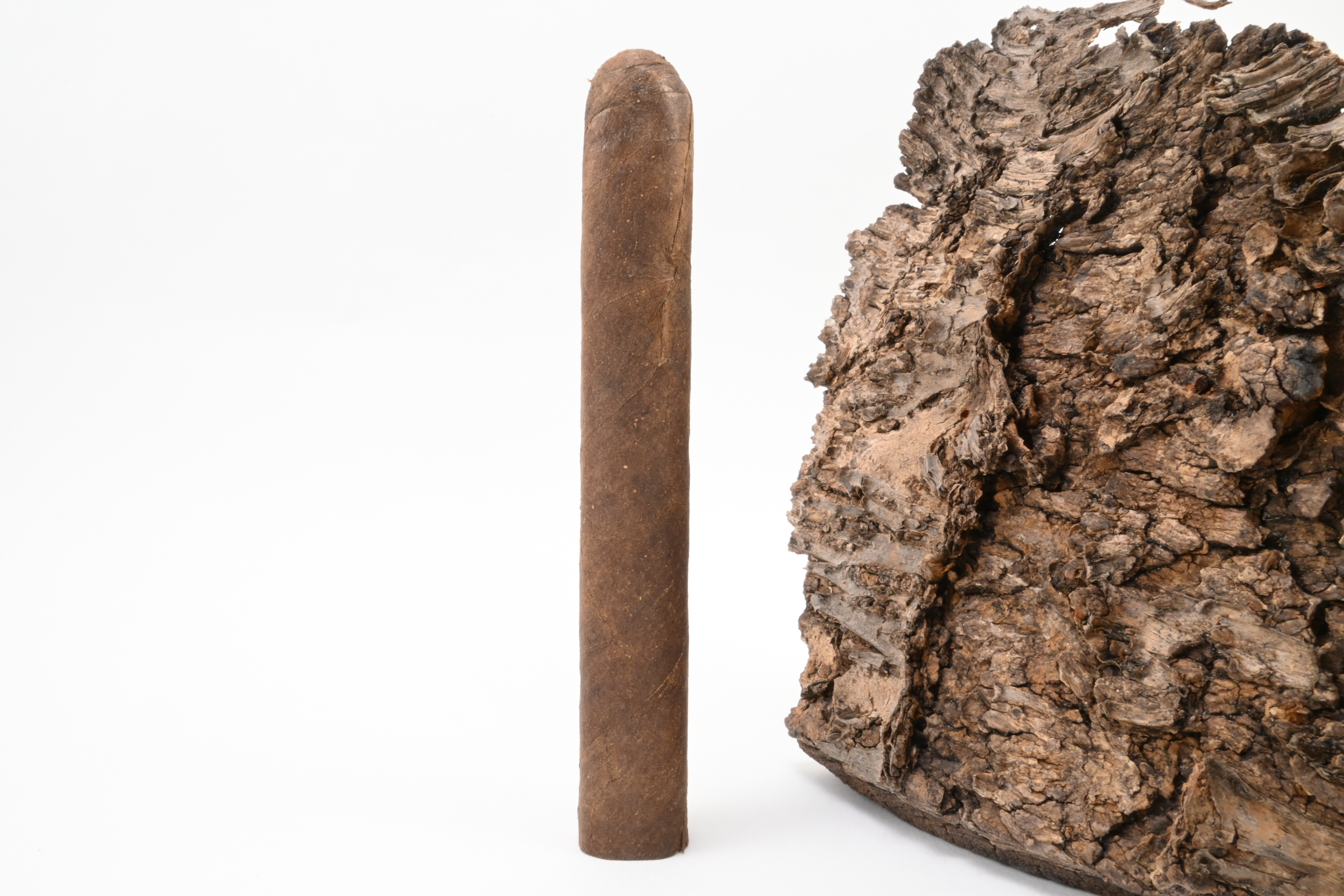 Tropenschatz Brasil Corona No. 824