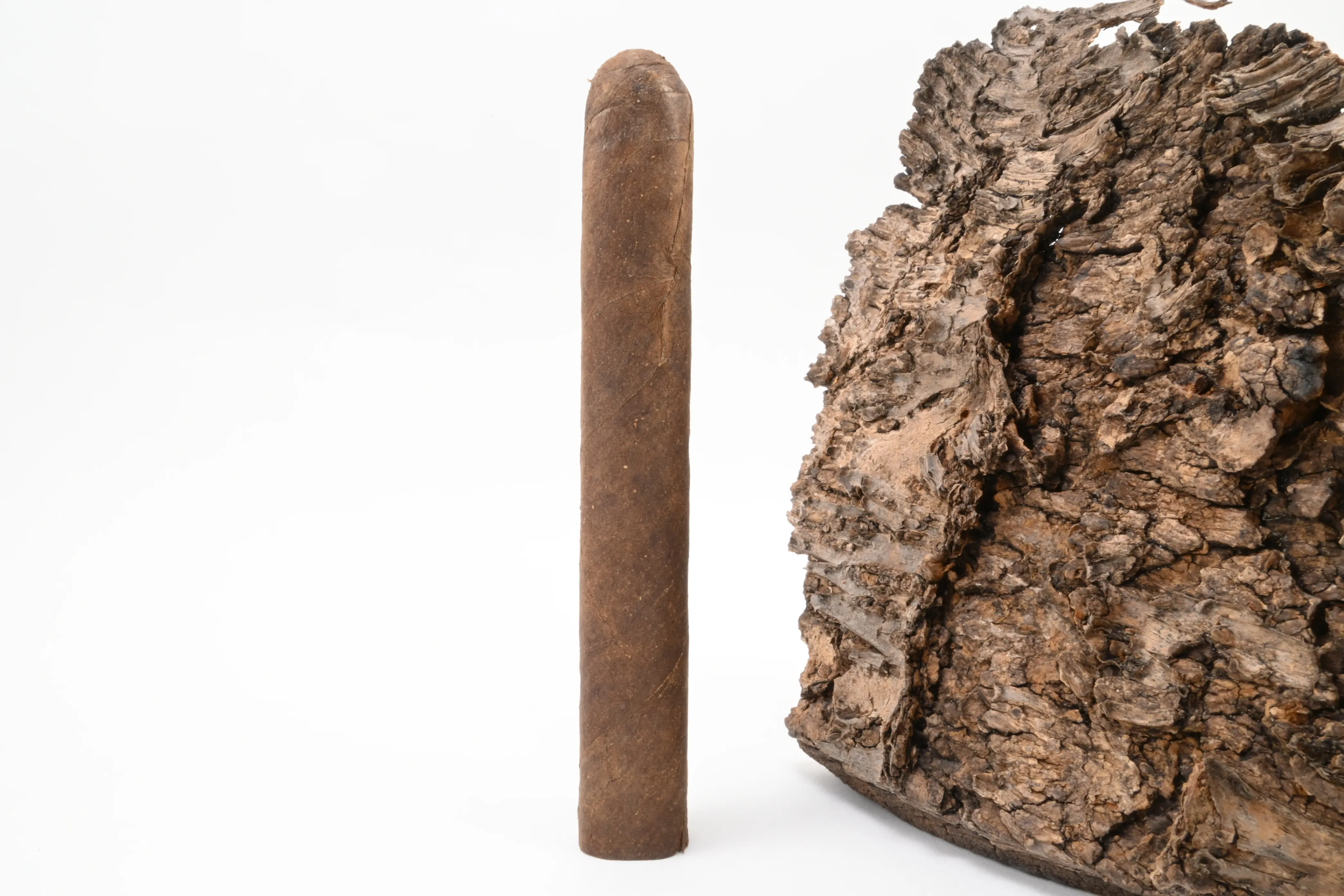 Tropenschatz Brasil Corona No. 824