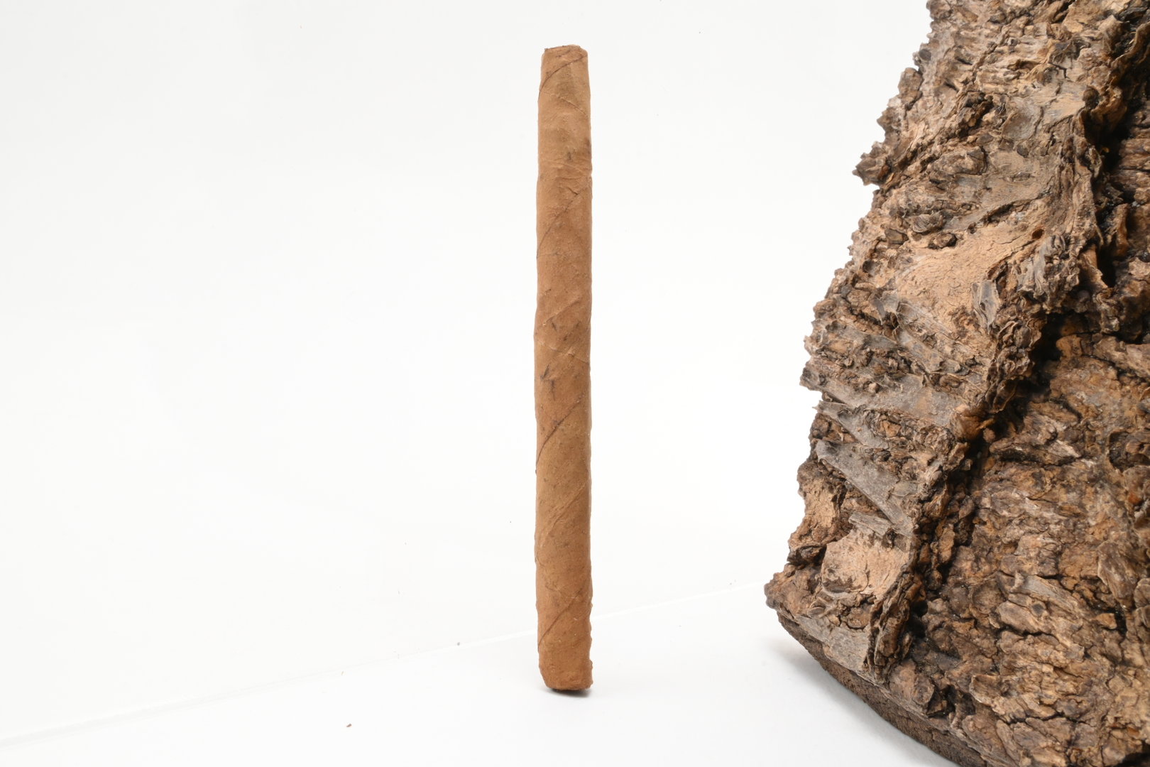 The_Griffins_Griffinos_4_1