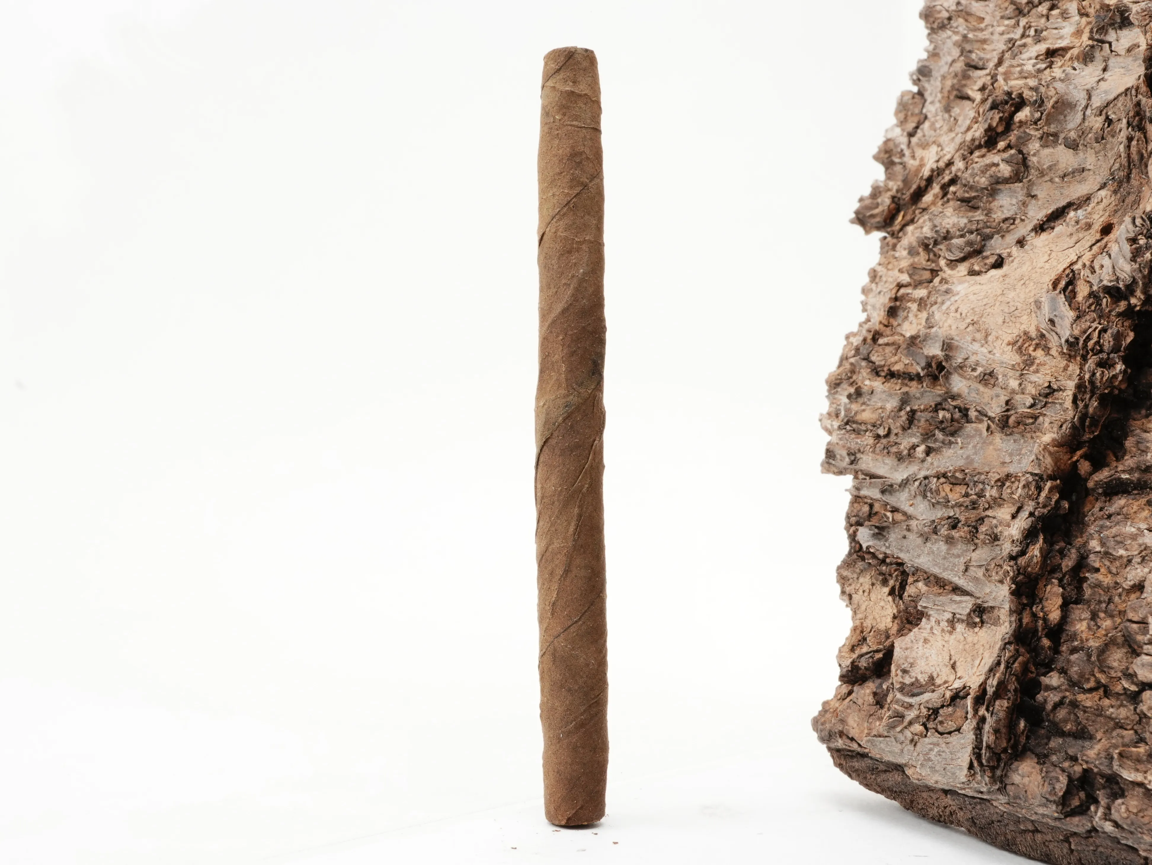 Biddies Dominican – Produktbild 4