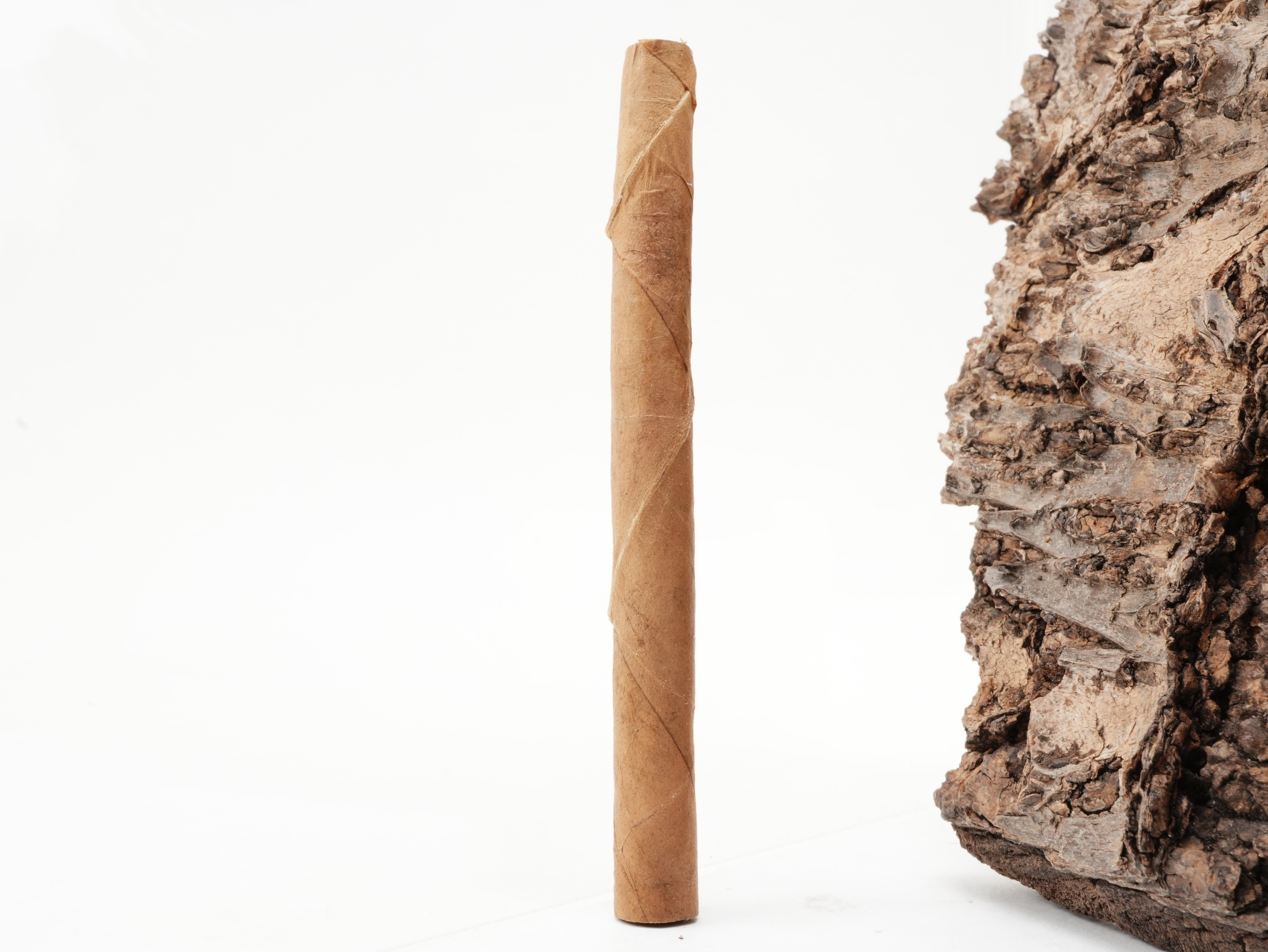 Mehari's Mini Dominican